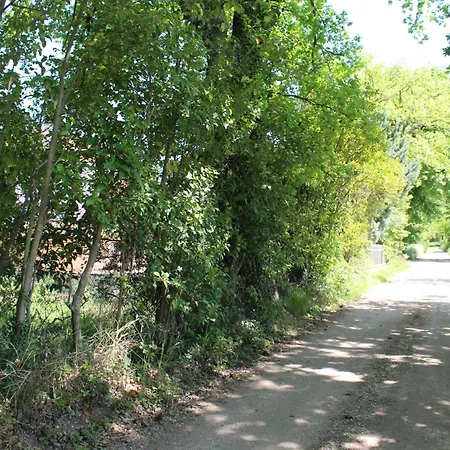 Cuore Di Legno Spoleto