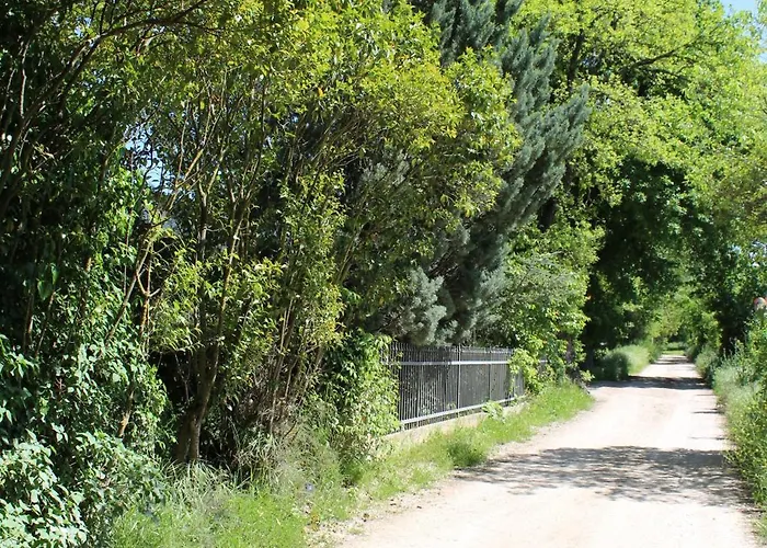 Cuore Di Legno 別荘 *