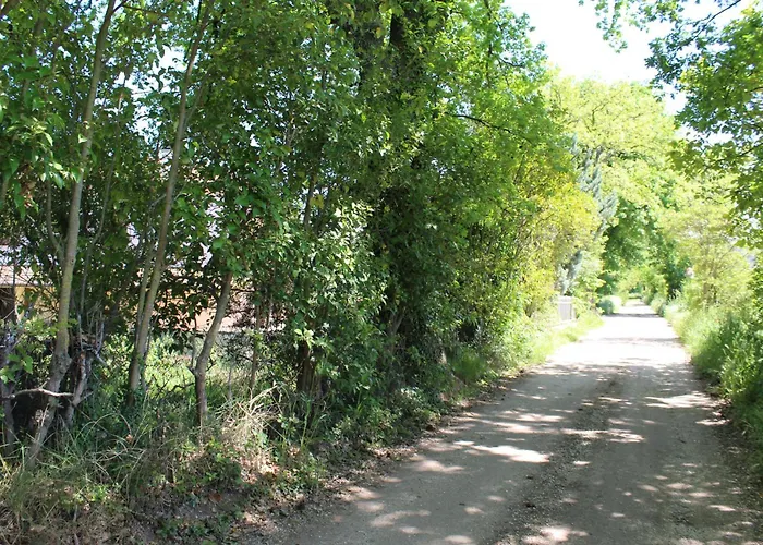 Cuore Di Legno スポレート